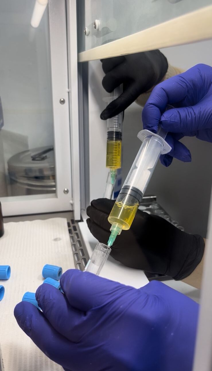 whatsapp image 2025 09 22 at 3.52.41 pm (3)